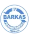SV Barkas Frankenberg