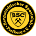 BSC_Freiberg_Logo.png